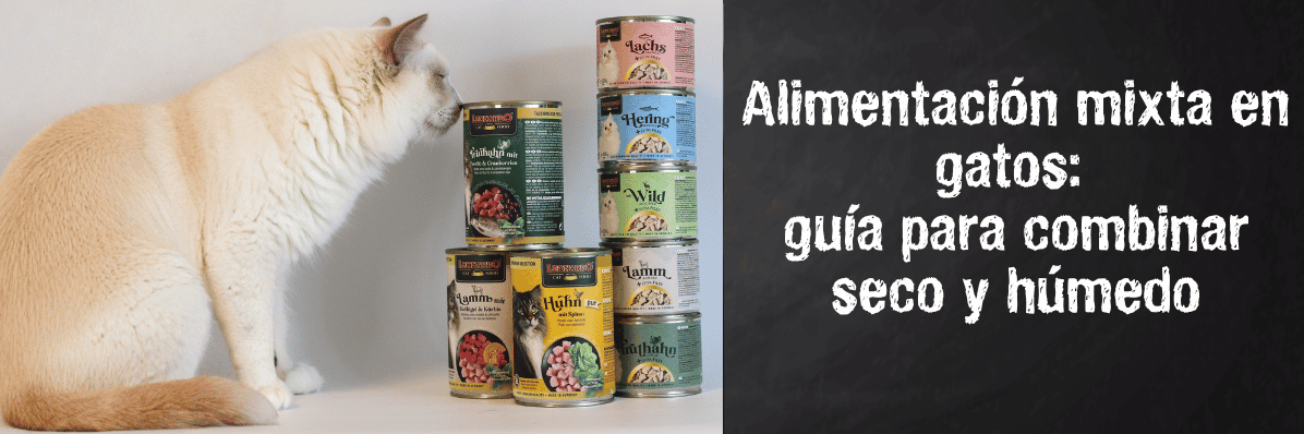 Alimentación mixta gatos